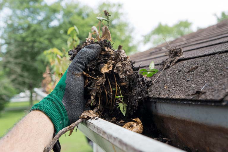 cleaning gutters