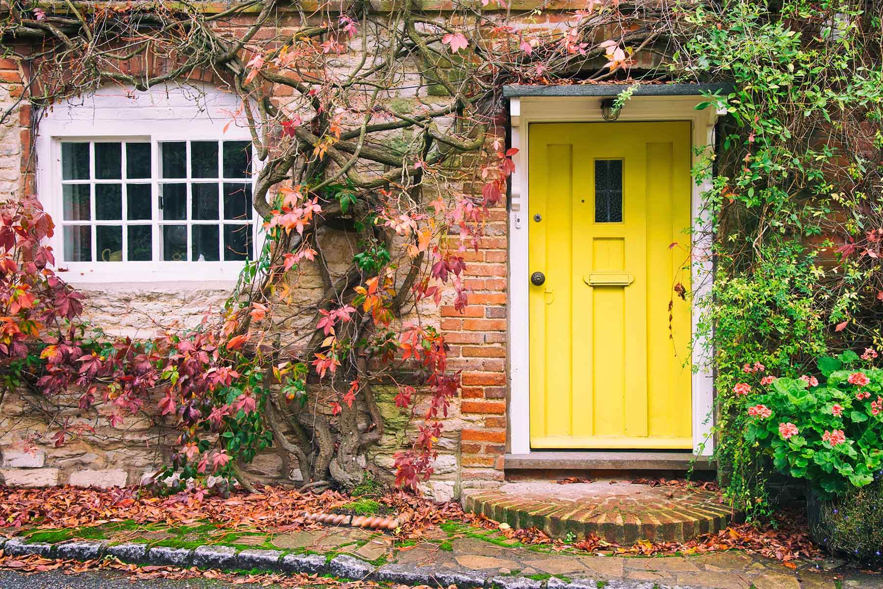 yellow timber front door