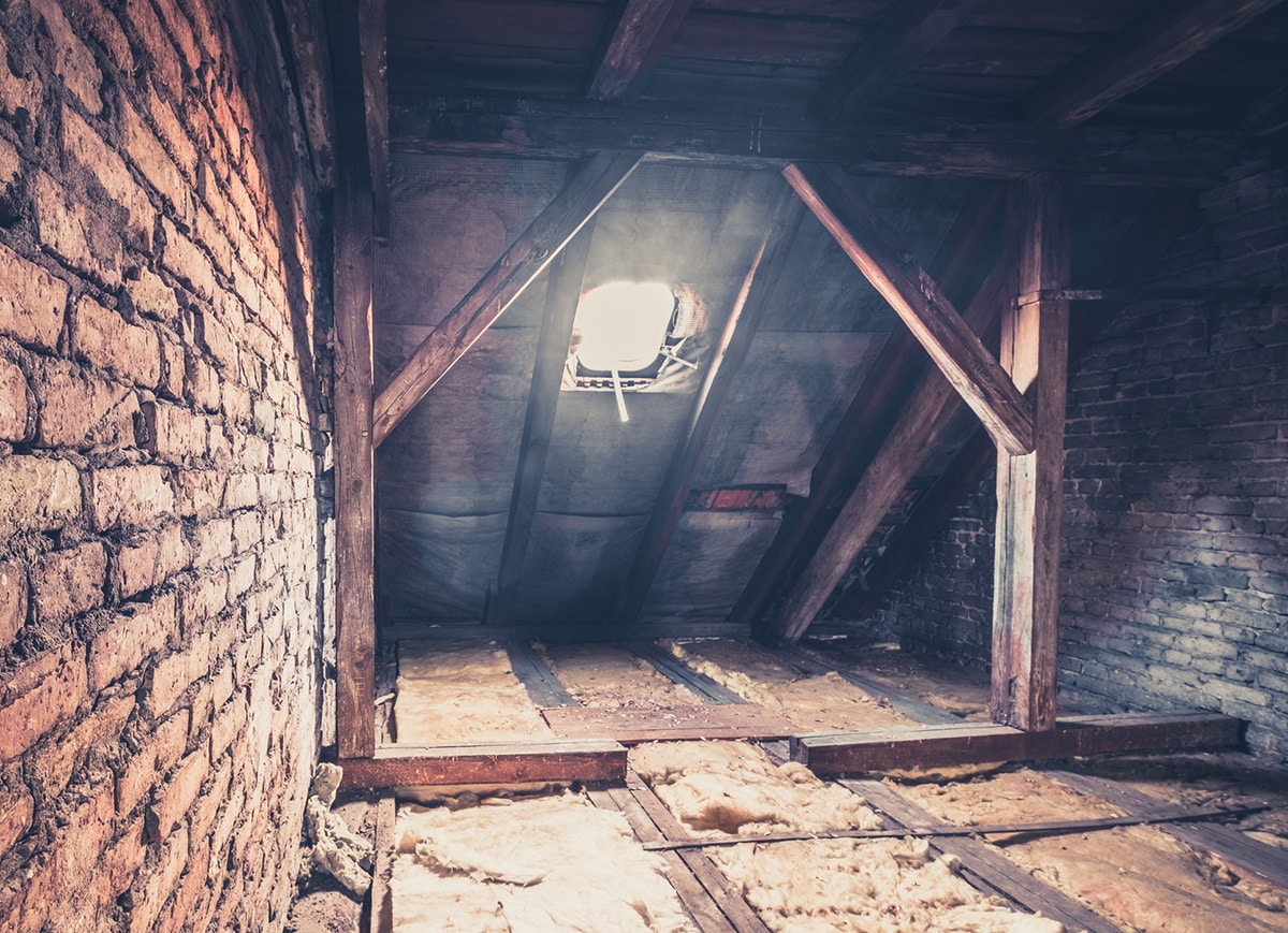 Heat loss: Install loft insulation