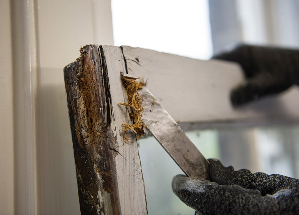 Careful restoration of rotten sills and frames by Ventrolla