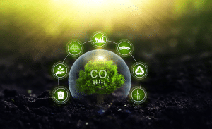 Cutting your carbon footprint