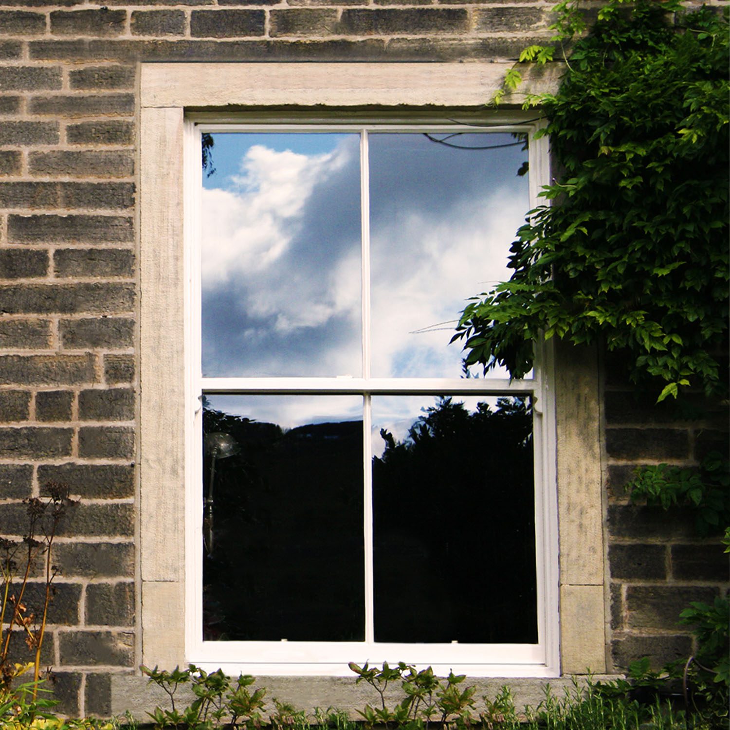 Windows