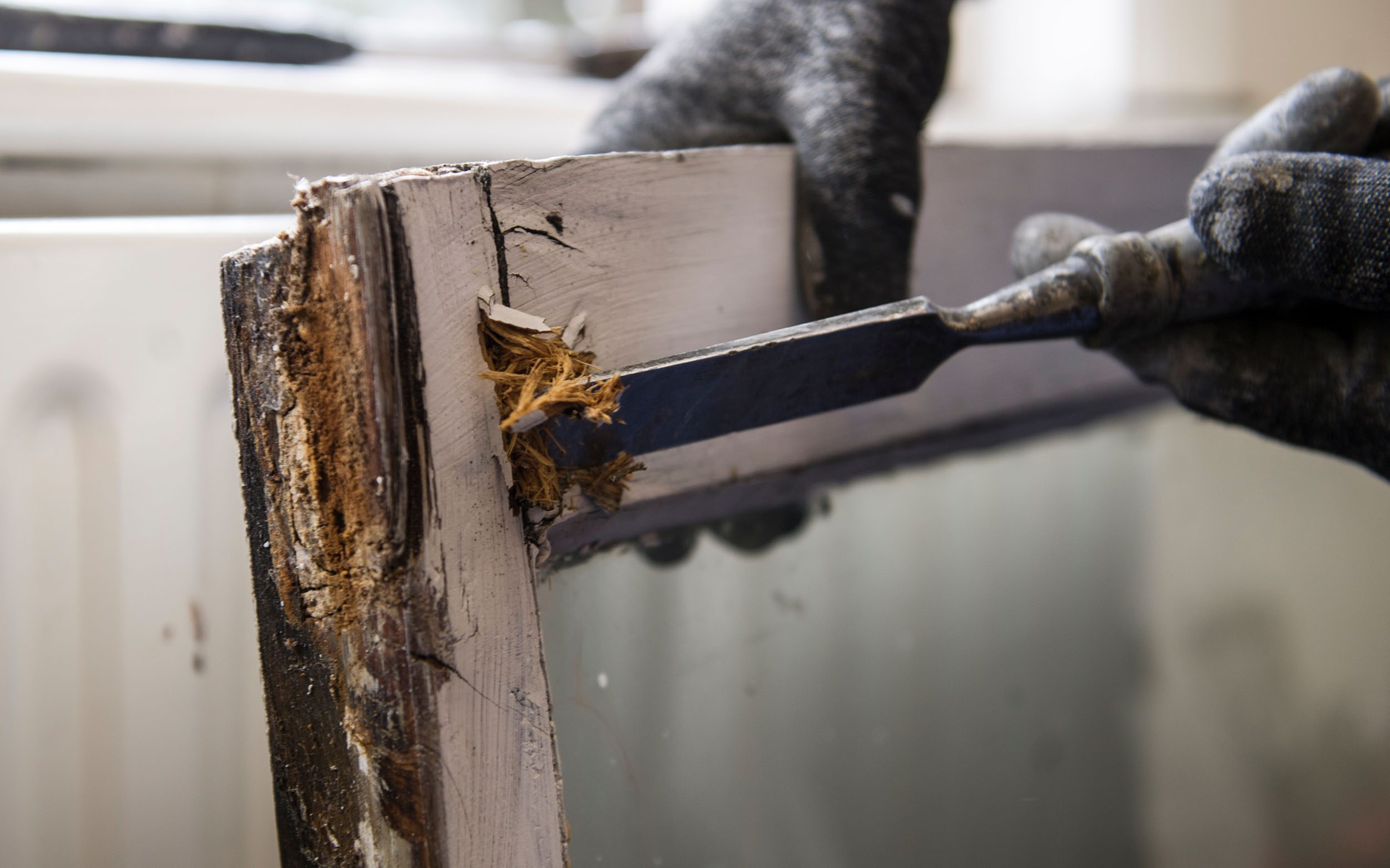 Can Rotten Timber Windows Be Saved? A Guide to Repairing Rotten Wood image