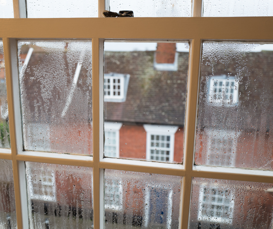 What Causes Condensation — And What You Can Do About It image